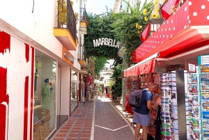 Från Malaga: Privat tur i Marbella
