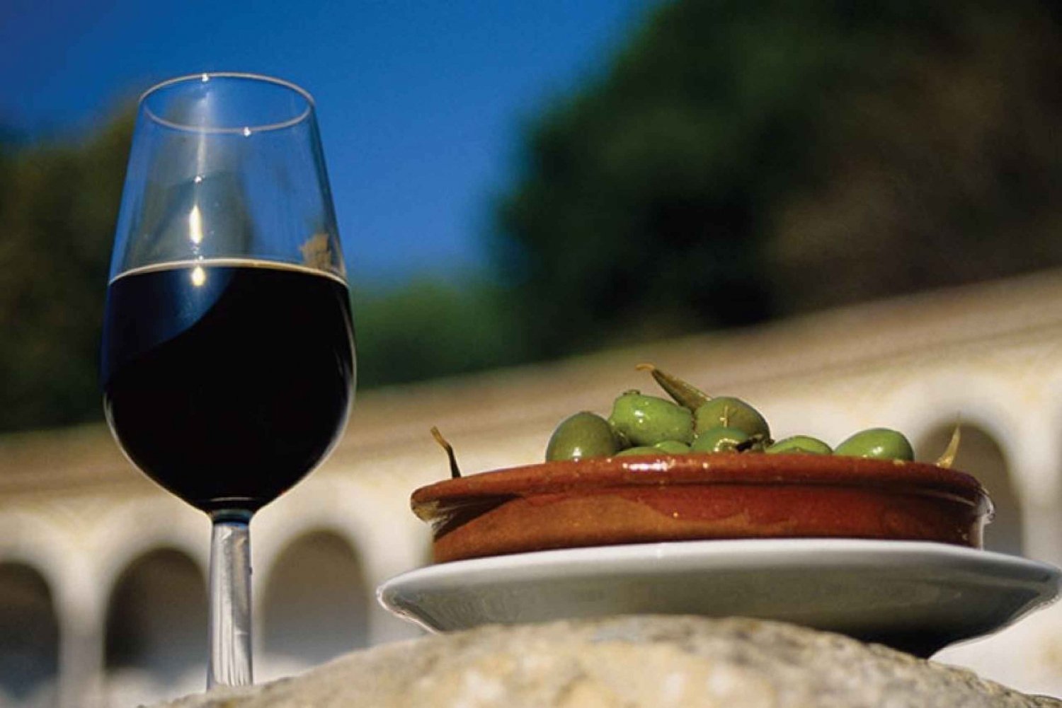 Au départ de Marbella : Circuit du vin d'Antequera avec dégustations et déjeuner