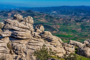 From Marbella: Antequera Wine Tour with Tastings and Lunch