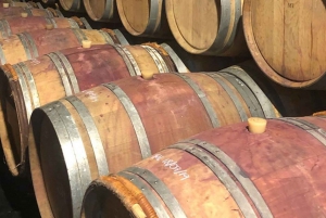 Från Marbella: Antequera vinresa med vinprovningar och lunch