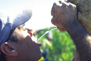 Z Marbelli: wycieczka po winnicach Axarquia z lunchem z winem