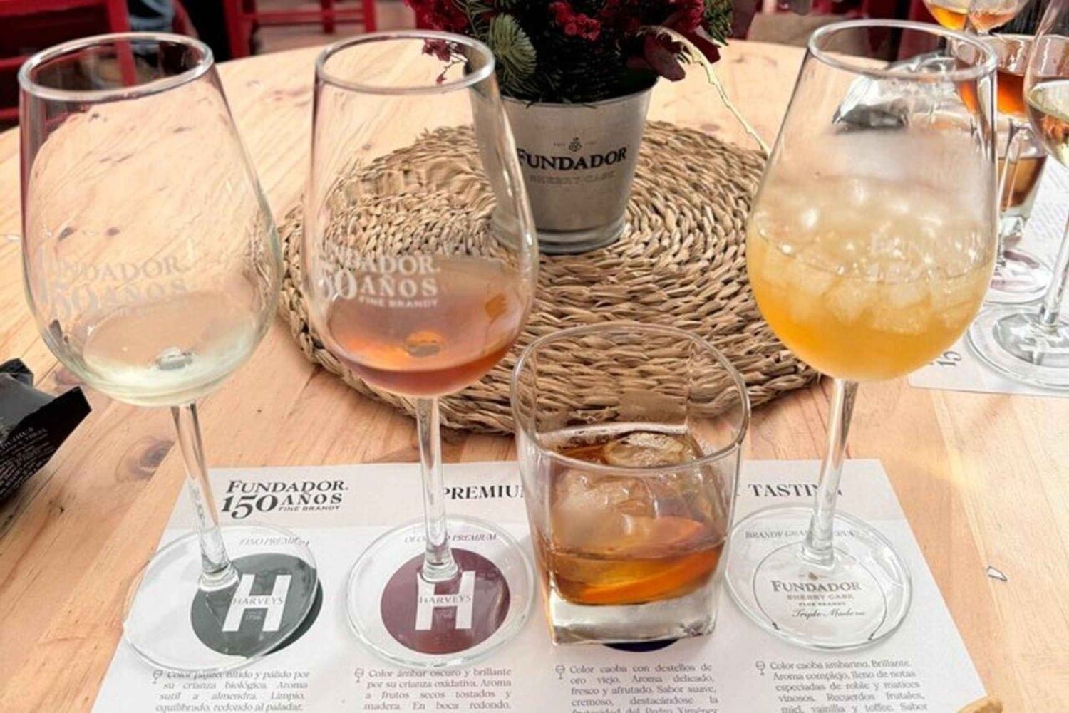 Från Marbella: Privat dagstur till Cádiz och Jerez