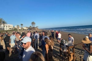 From Marbella/Estepona: Private nightlife VIP tour Transportation Drinks