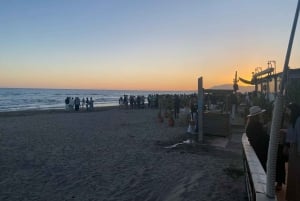 From Marbella/Estepona: Private nightlife VIP tour Transportation Drinks