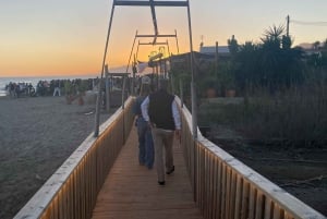 From Marbella/Estepona: Private nightlife VIP tour Transportation Drinks