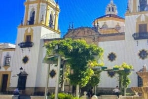 from Marbella / Estepona: PRIVATE tour to Ronda incl. transfer and tapas