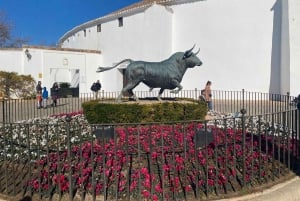 from Marbella / Estepona: PRIVATE tour to Ronda incl. transfer and tapas