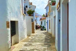 From Marbella: Frigiliana & Nerja Food & History Day Tour