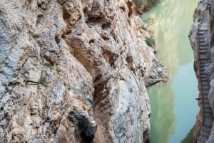 Fuengirolasta: Caminito del Rey Opastettu päiväretki