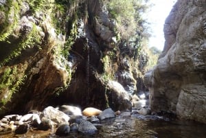 From Marbella: Guadalmina River Guided Canyoning Adventure