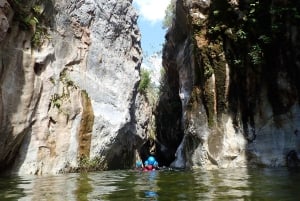 From Marbella: Guadalmina River Guided Canyoning Adventure