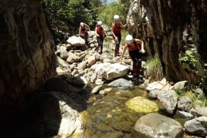 From Marbella: Guadalmina River Guided Canyoning Adventure