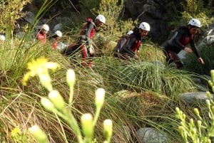 From Marbella: Guadalmina River Guided Canyoning Adventure