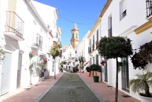 From Marbella: Guided Private Trip to Gibraltar and Estepona