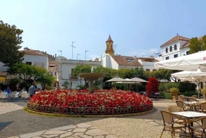 From Marbella: Guided Private Trip to Gibraltar and Estepona