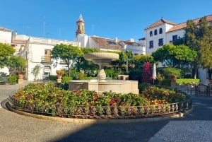Från Marbella: Guidad privat resa till Gibraltar och Estepona