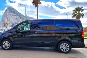 Från Marbella: Guidad privat resa till Gibraltar och Estepona