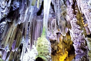 Från Marbella: Guidad privat resa till Gibraltar och Estepona