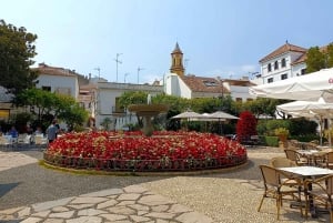 Från Marbella: Guidad privat resa till Gibraltar och Estepona