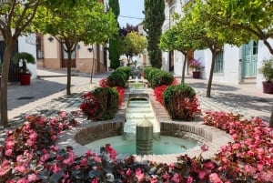 Från Marbella: Guidad privat resa till Gibraltar och Estepona