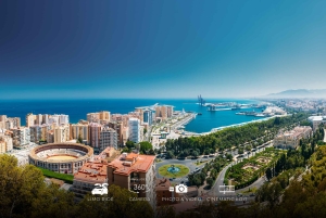 Z Marbelli: świąteczna wycieczka VIP po Maladze 360° Teslą X