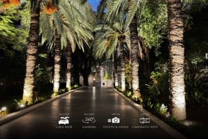 Z Marbelli: świąteczna wycieczka VIP po Maladze 360° Teslą X