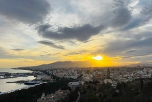 Fra Marbella: VIP-byrundtur i Malaga i Tesla X med 360° filmoptagelser