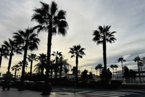 Fra Marbella: VIP-byrundtur i Malaga i Tesla X med 360° filmoptagelser