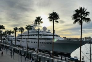 Fra Marbella: VIP-byrundtur i Malaga i Tesla X med 360° filmoptagelser