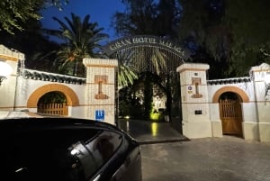 Fra Marbella: VIP-byrundtur i Malaga i Tesla X med 360° filmoptagelser