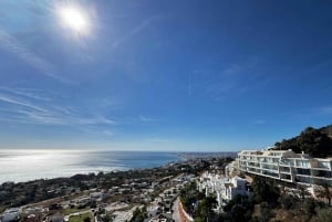 Fra Marbella: VIP-byrundtur i Malaga i Tesla X med 360° filmoptagelser