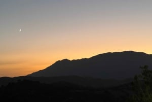 Fra Marbella: VIP-byrundtur i Malaga i Tesla X med 360° filmoptagelser