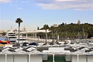 マルベーリャ発：マラガプライベートツアー