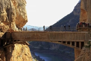 From Marbella or Estepona: Caminito del Rey Guided Day Trip