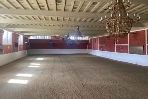 Desde Marbella: Ronda, incluye transporte, cafetería, plaza de toros, tapas y bebidas