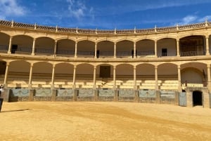 Desde Marbella: Ronda, incluye transporte, cafetería, plaza de toros, tapas y bebidas