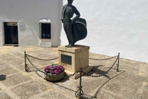 Z Marbelli: prywatna wycieczka do Ronda, w tym transfer, kawa, arena walk byków, tapas, drinki