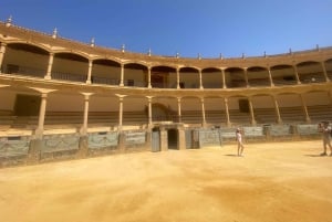 Z Marbelli: prywatna wycieczka do Ronda, w tym transfer, kawa, arena walk byków, tapas, drinki