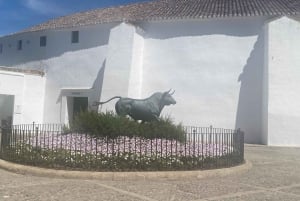 Z Marbelli: prywatna wycieczka do Ronda, w tym transfer, kawa, arena walk byków, tapas, drinki