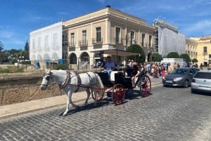 Z Marbelli: prywatna wycieczka do Ronda, w tym transfer, kawa, arena walk byków, tapas, drinki