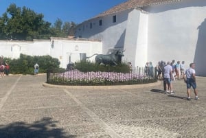 Z Marbelli: prywatna wycieczka do Ronda, w tym transfer, kawa, arena walk byków, tapas, drinki