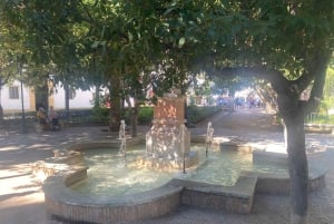 Z Marbelli: prywatna wycieczka do Ronda, w tym transfer, kawa, arena walk byków, tapas, drinki