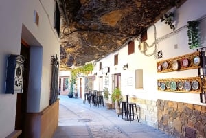 From Marbella: Ronda & Setenil de las Bodegas Private trip