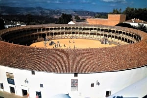 From Marbella: Ronda & Setenil de las Bodegas Private trip