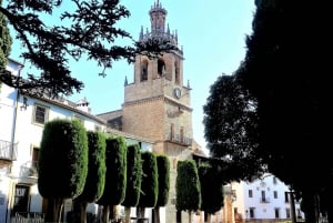 From Marbella: Ronda & Setenil de las Bodegas Private trip