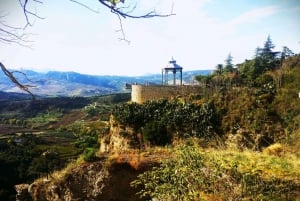 From Marbella: Ronda & Setenil de las Bodegas Private trip
