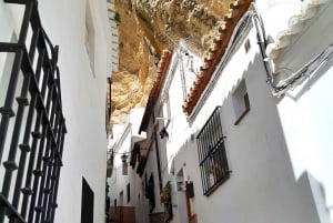 From Marbella: Ronda & Setenil de las Bodegas Private trip