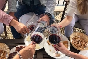 From Marbella: The Classic Ronda Wine Experience Day Tour