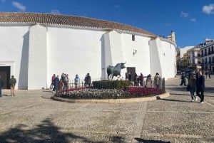 A partir de Málaga: passeio privado por Ronda, incluindo transporte, café, arena de touros, tapas e bebidas