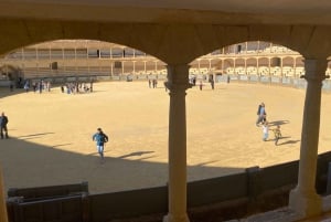 A partir de Málaga: passeio privado por Ronda, incluindo transporte, café, arena de touros, tapas e bebidas
